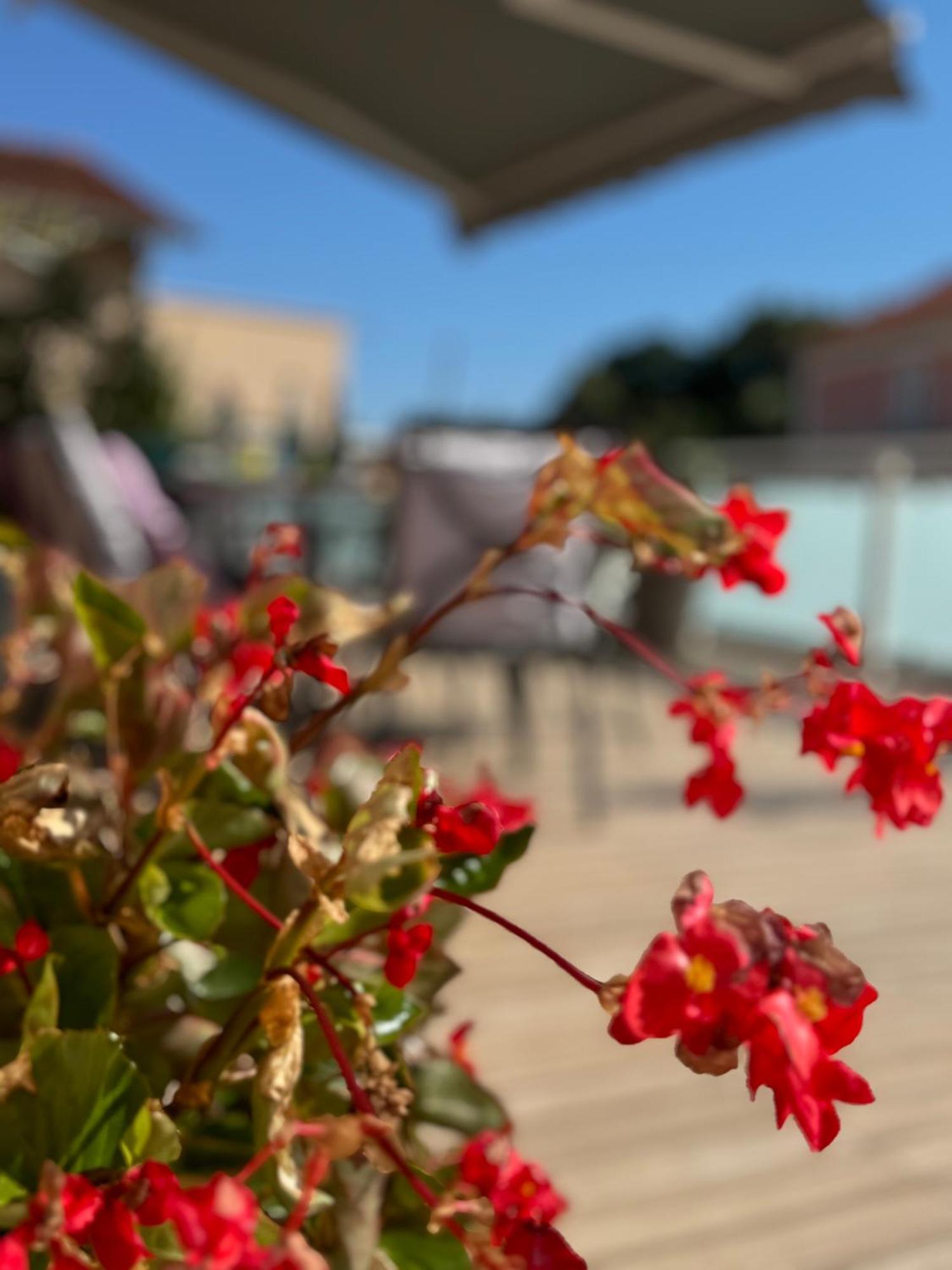 Comfortable Apartment Near Opatija Matulji Luaran gambar